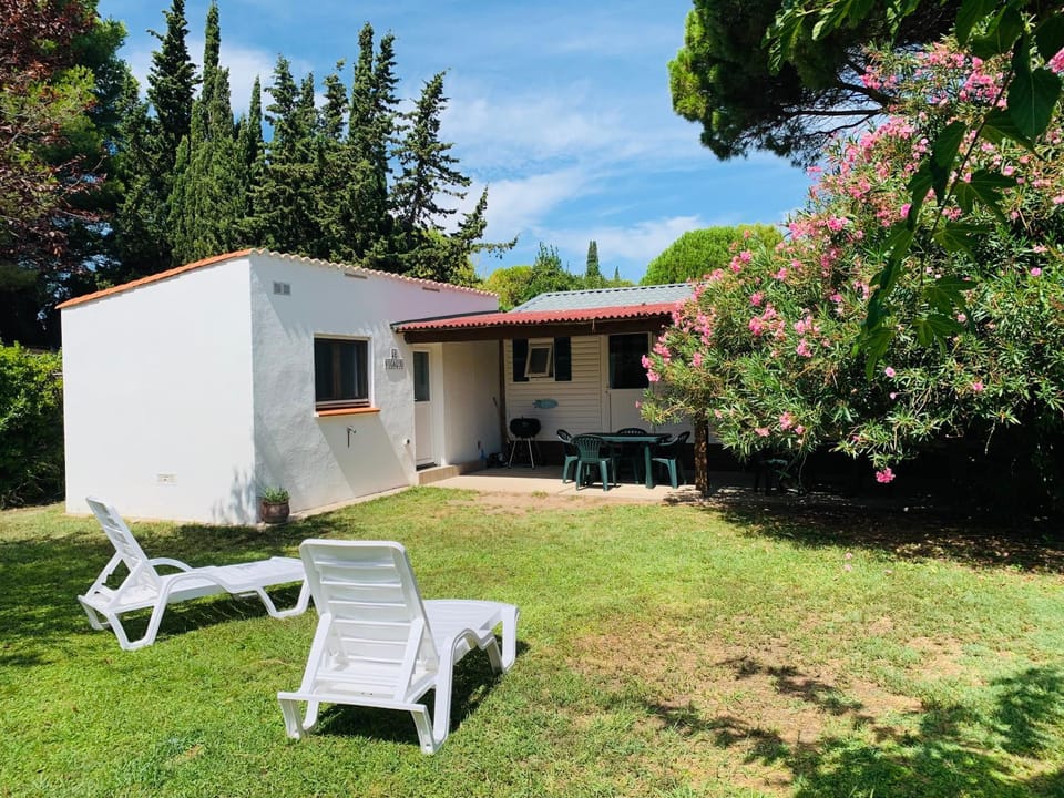 Garden, sunbed
