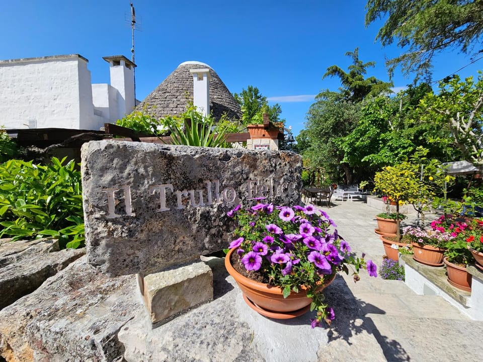 Property building, Spring, Day, Garden, Garden view