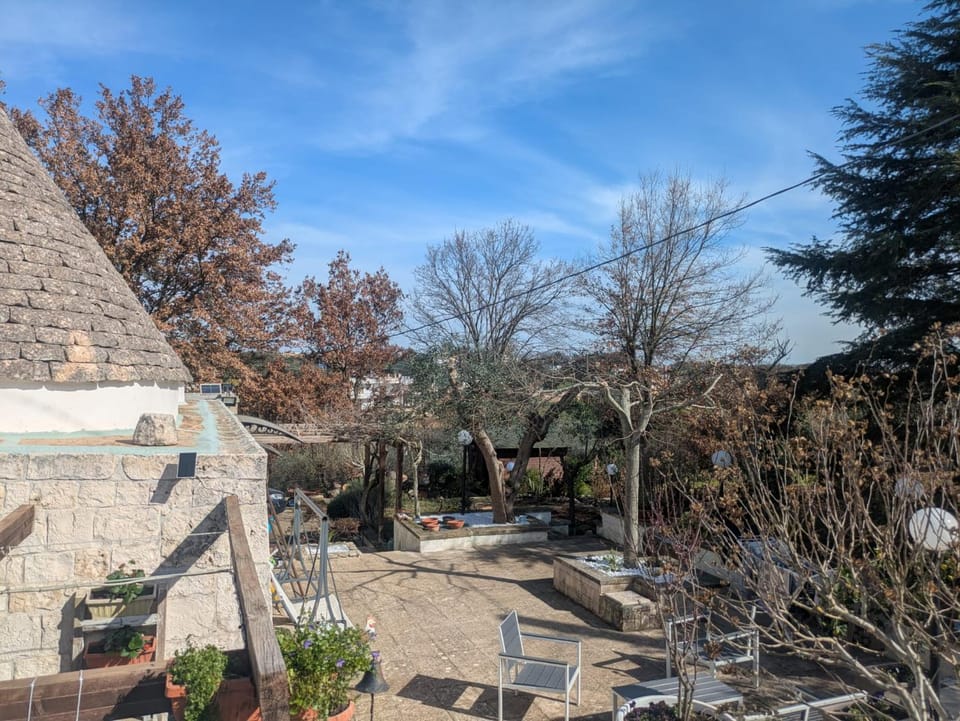 Garden view