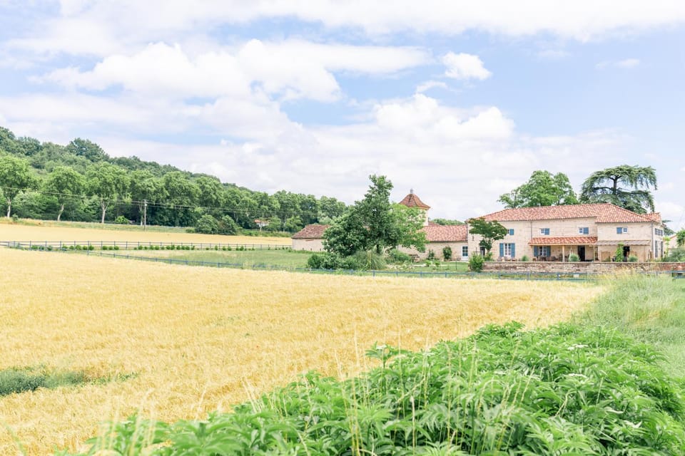 Le Clos Saint-Jean - Chambre d'hôte Simba Bed and Breakfast in Nouvelle-Aquitaine