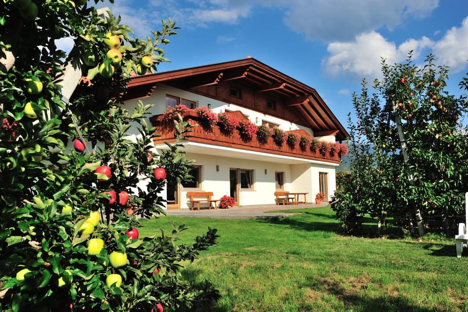 Property building, Garden view