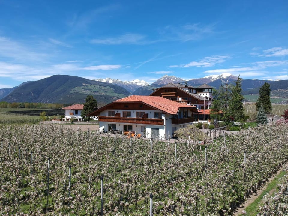 Property building, Spring, Day, Natural landscape, Mountain view