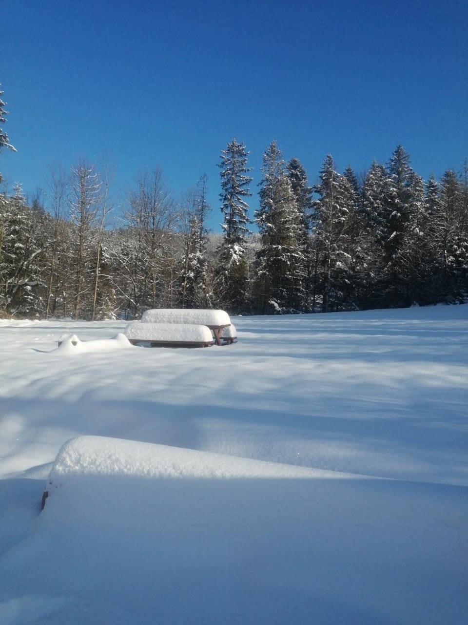 Winter, Garden