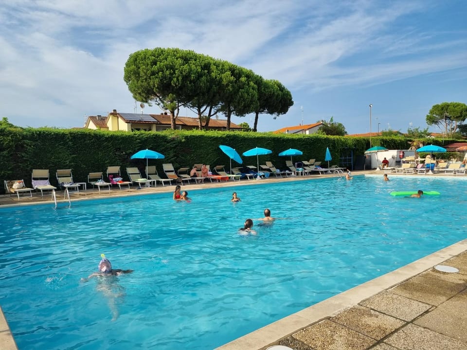 Swimming pool, Swimming pool