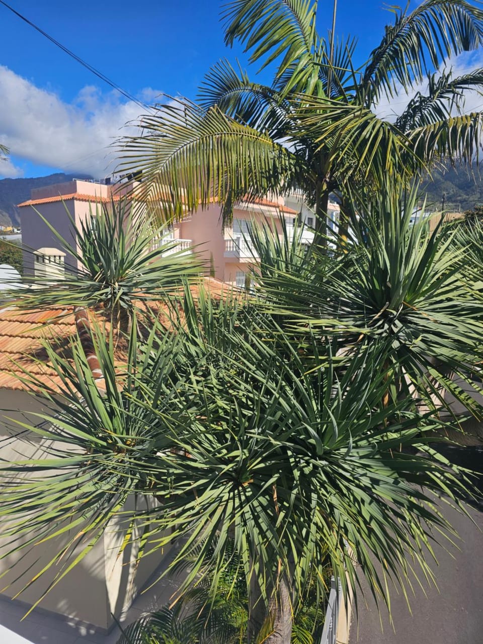 Bayton House House in La Palma