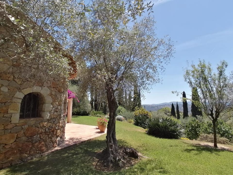 Garden, Garden view