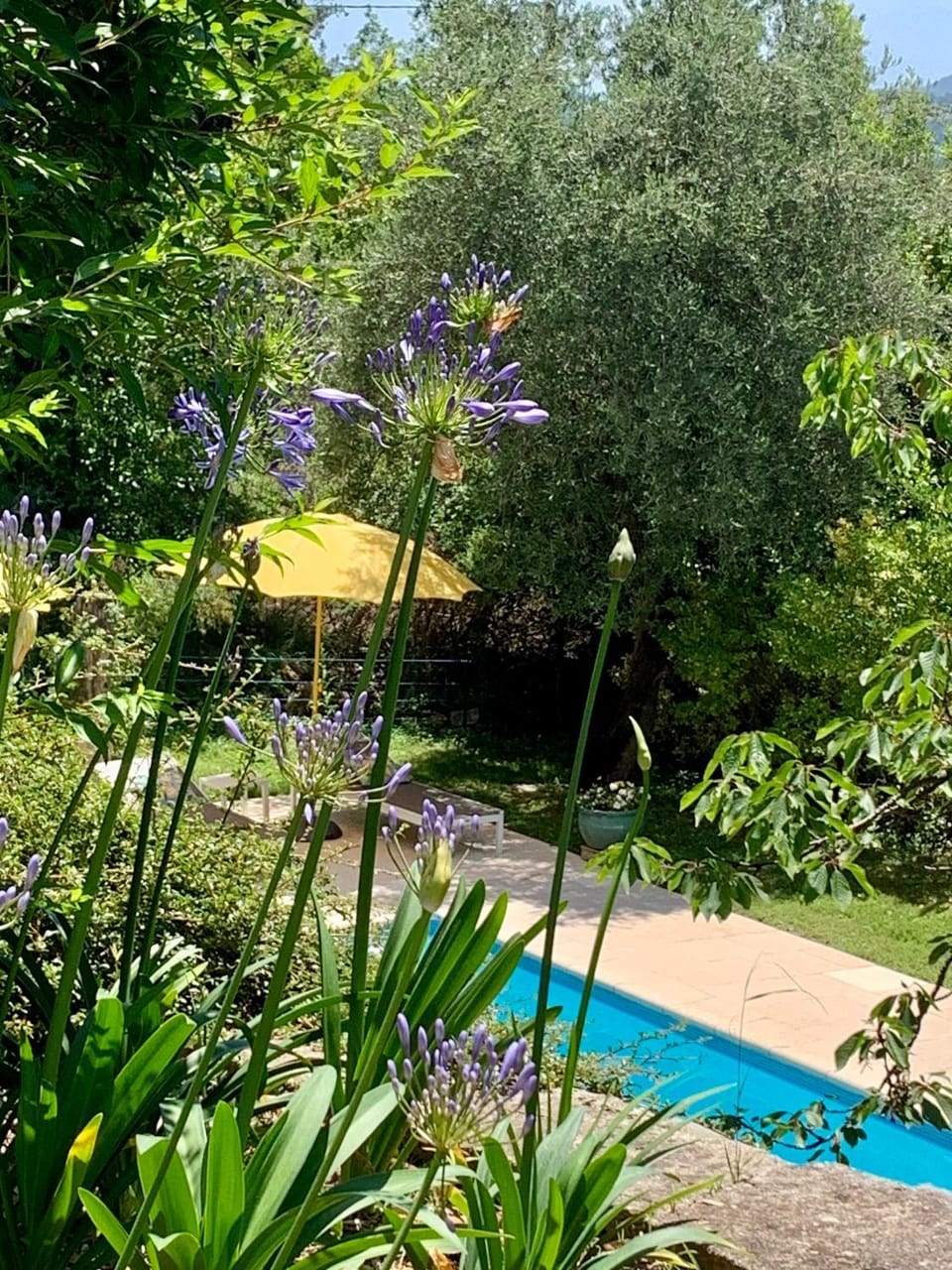 LA PERASCEDA Bed and Breakfast in French Riviera