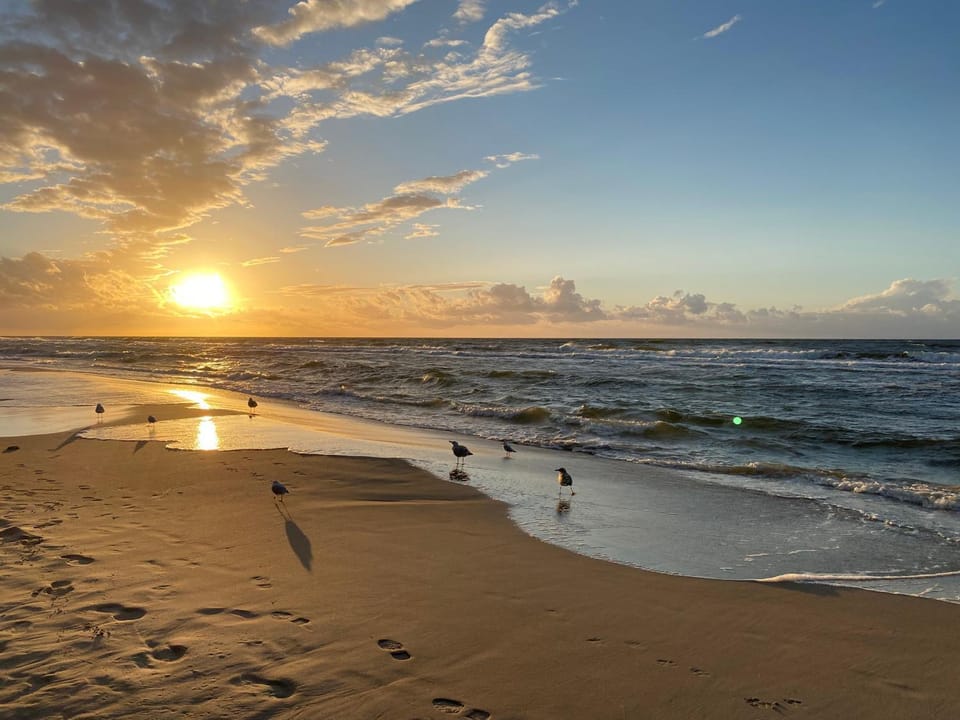 Sunset