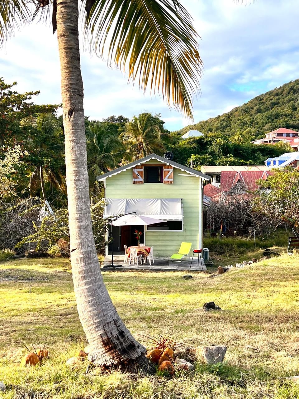 Property building, Natural landscape, Garden, Garden view