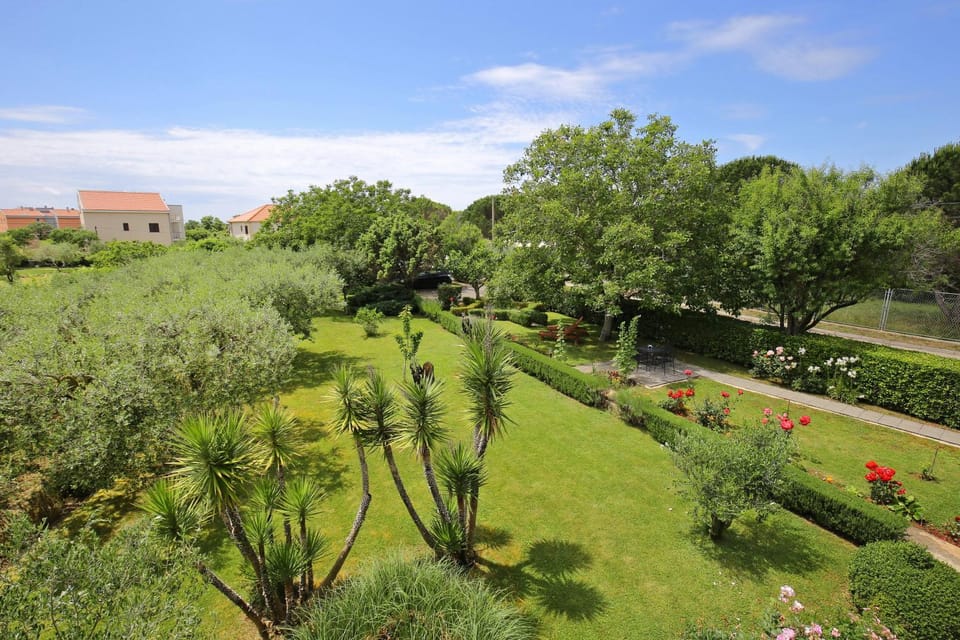 Spring, Day, Natural landscape, Garden, Garden, Garden view