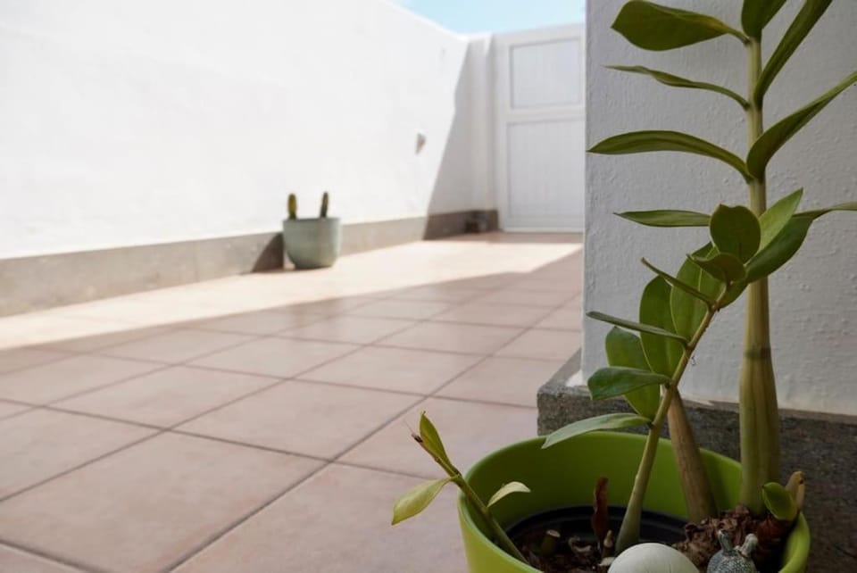 Casa Notas de Color Y Sal House in Agaete