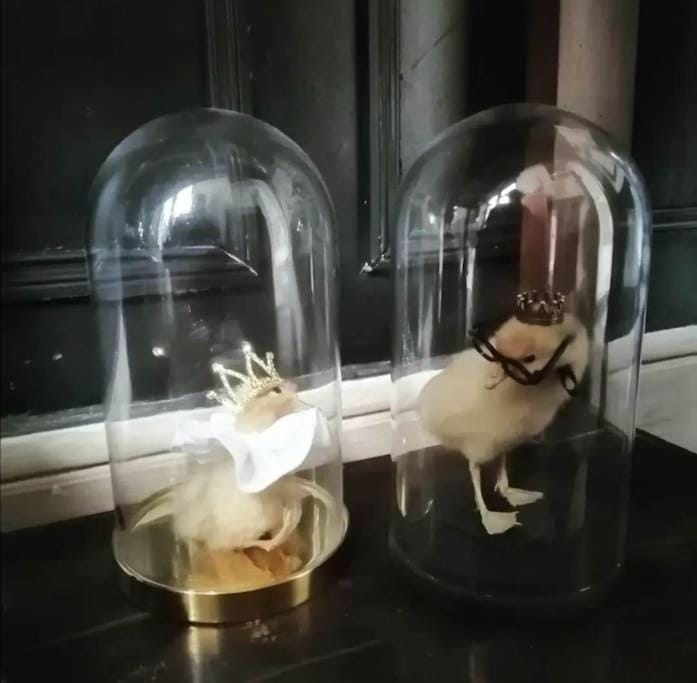 Facade/entrance, Decorative detail