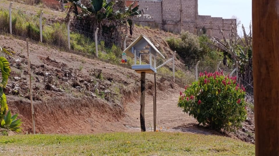 Day, Garden, Garden view