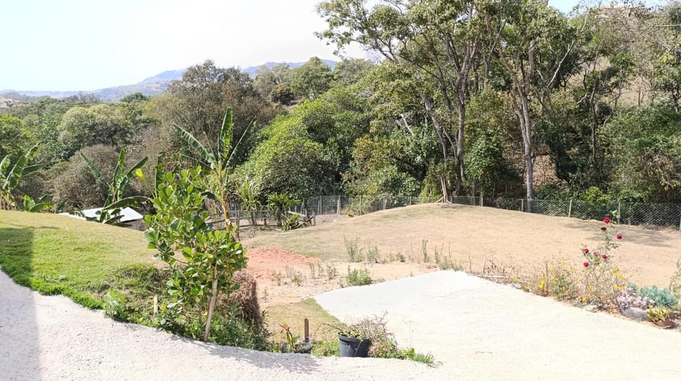 Day, Natural landscape, Garden, Garden view
