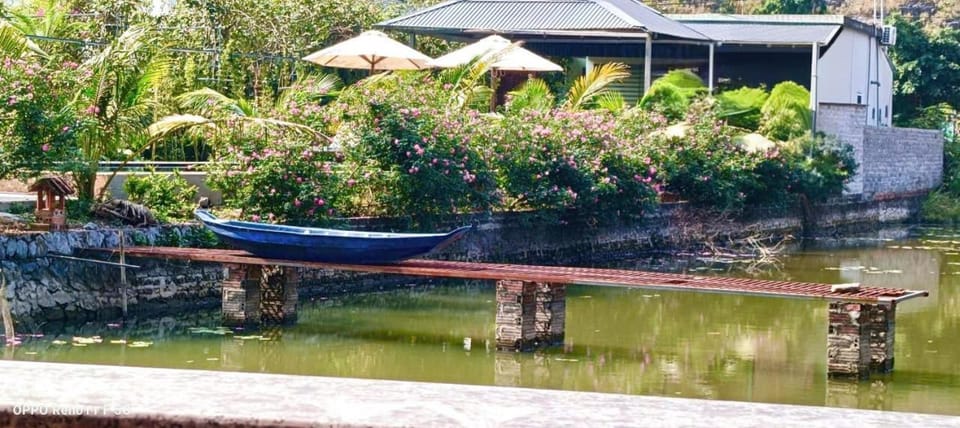 Natural landscape, Garden, Lake view