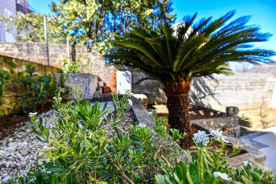 Natural landscape, Garden