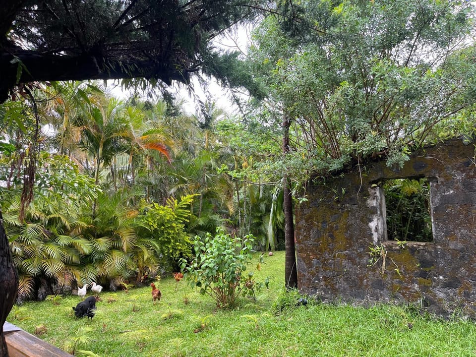 La Trinité, charme historique du Sud Sauvage House in Réunion