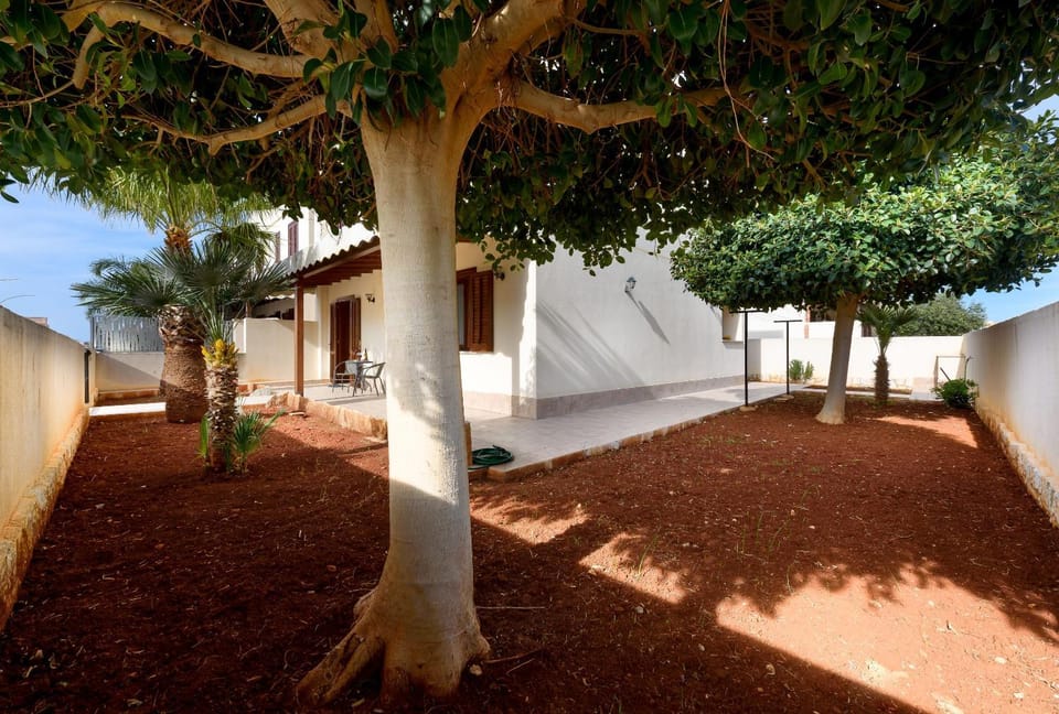 Day, Garden, Garden, Garden view