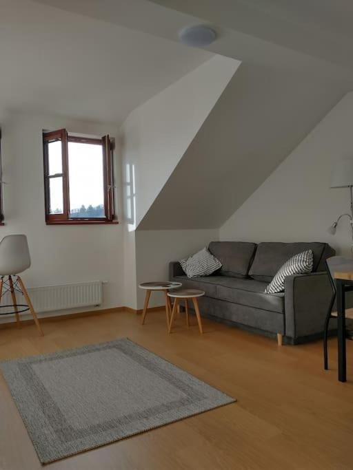 Apartment Felicitas Apartment in Czechia