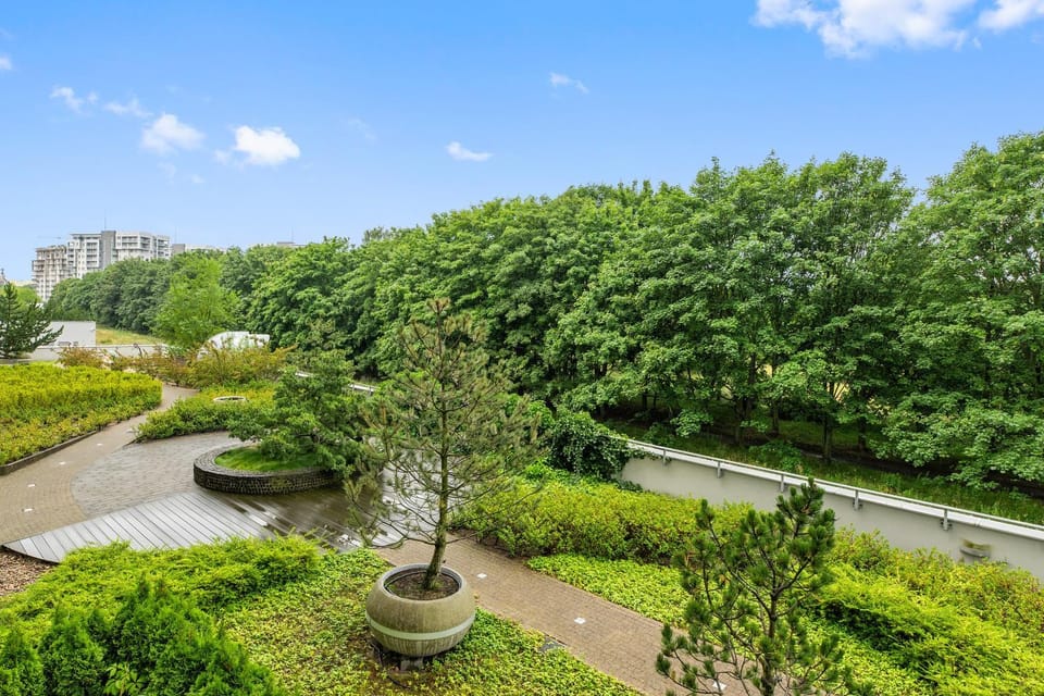 Spring, Day, Natural landscape, Garden, Garden view