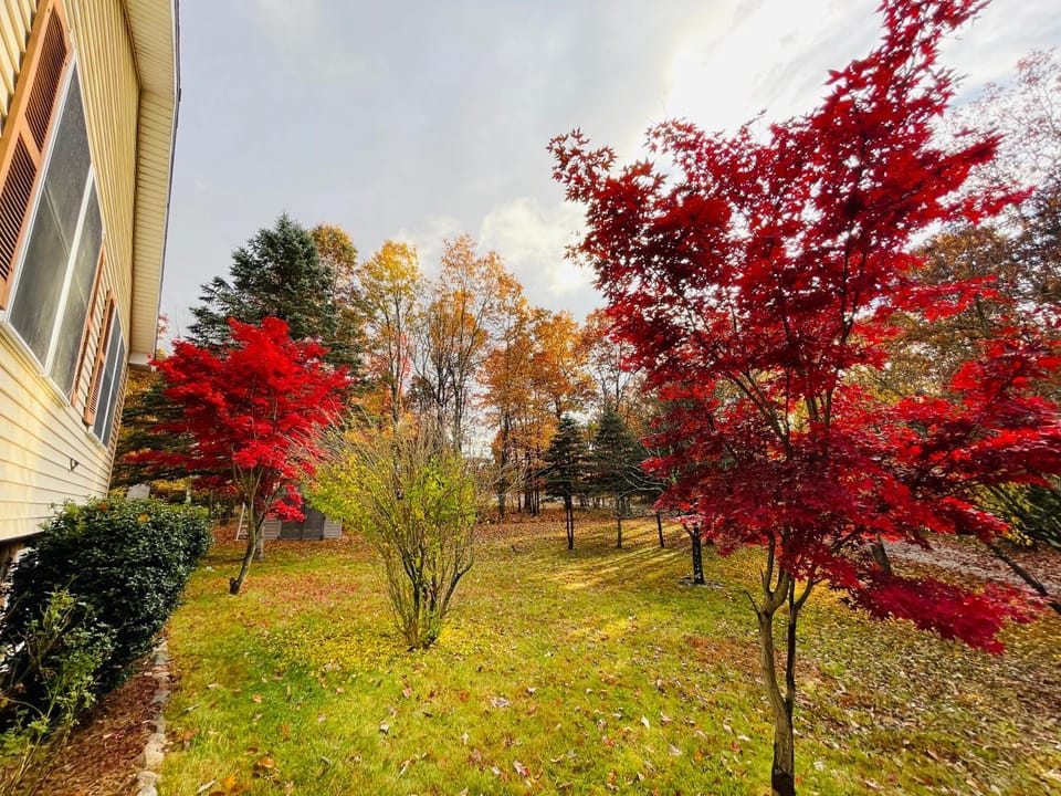 Garden, Landmark view