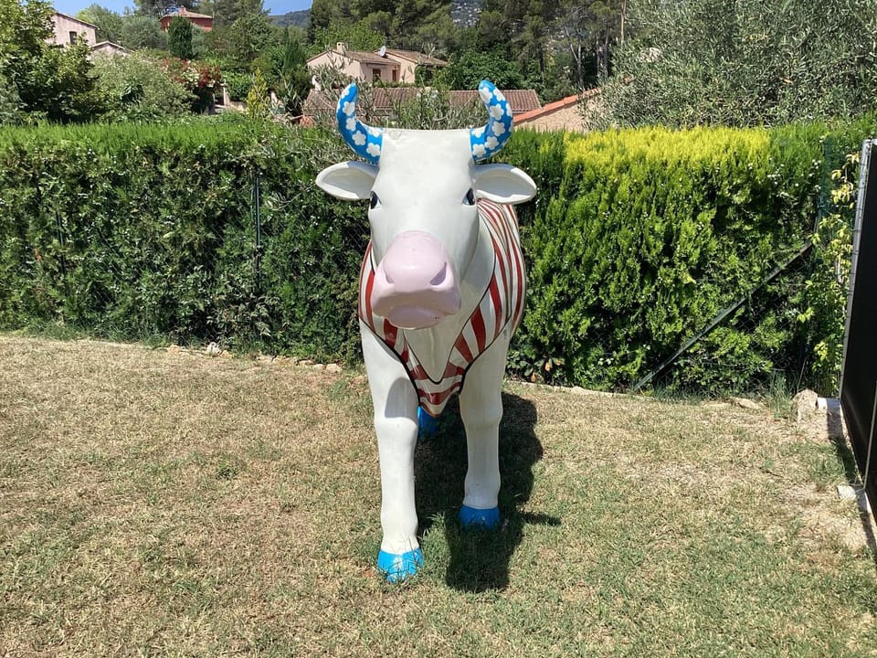 Mas Madilauric 2 BNB Bed and Breakfast in French Riviera