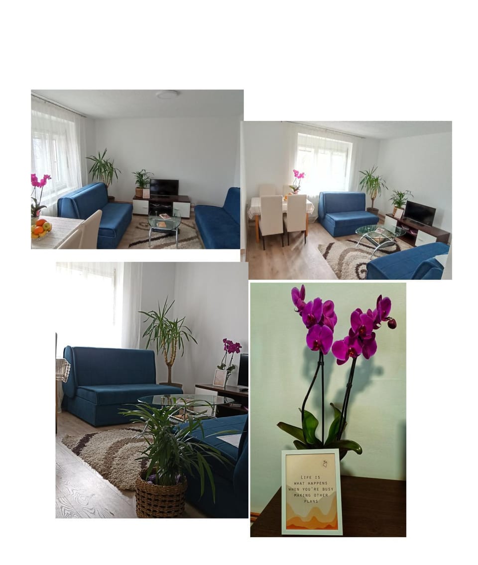 Apartman Mihajlović Apartment in Vojvodina