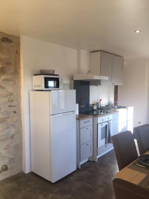 Kitchen or kitchenette, minibar, pet friendly, stove