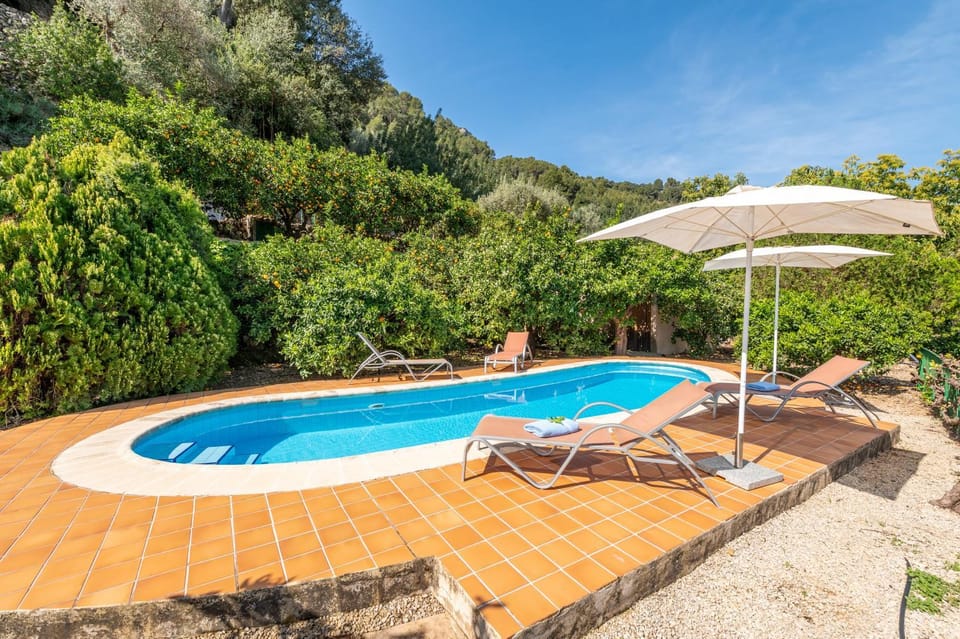 Property building, Living room, Swimming pool