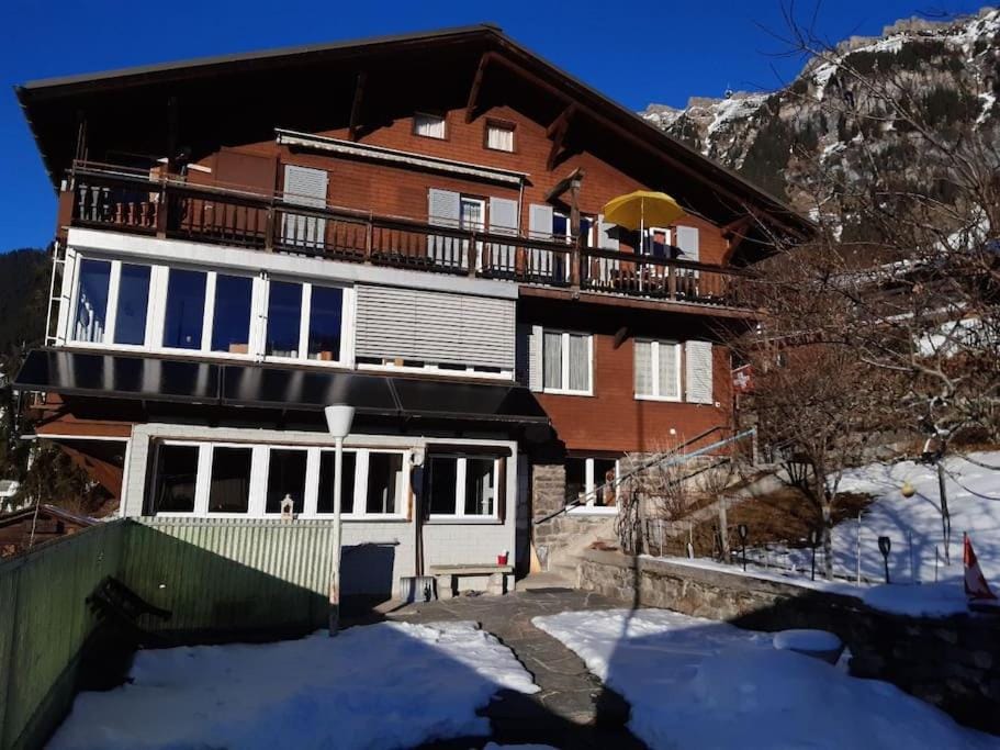 Property building, Day, Winter