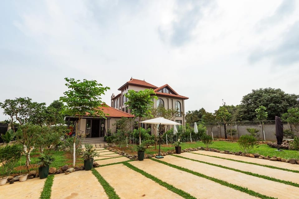 Property building, Day