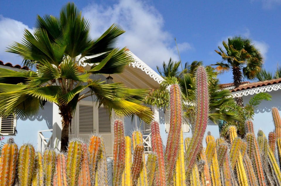 Day, Garden view