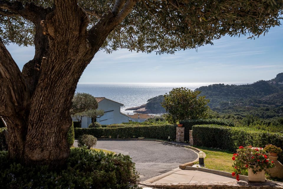 Natural landscape, Mountain view, Sea view