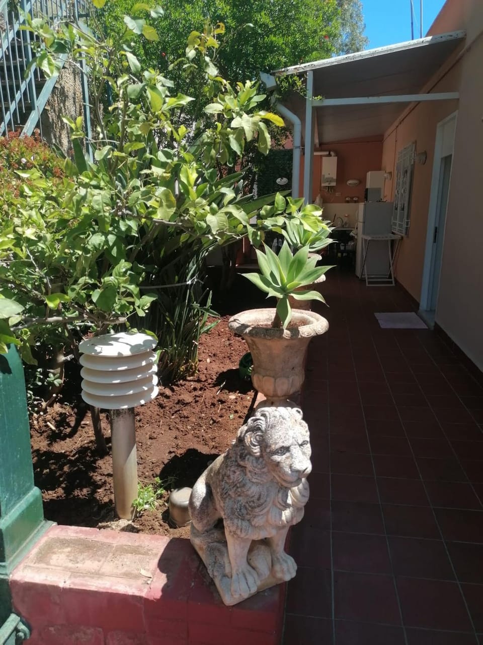 Property building, Spring, Day, Garden, Garden view