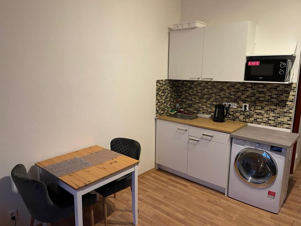 Sunlit apartment close to city center Apartment in Prague