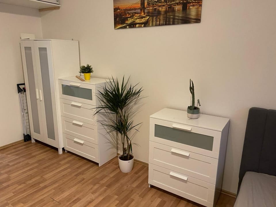 Sunlit apartment close to city center Apartment in Prague