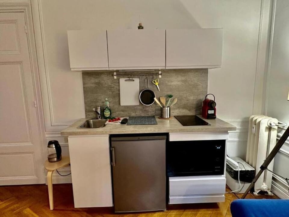 Luxurious 2 bedrooms on Promenades des Anglais Apartment in Nice