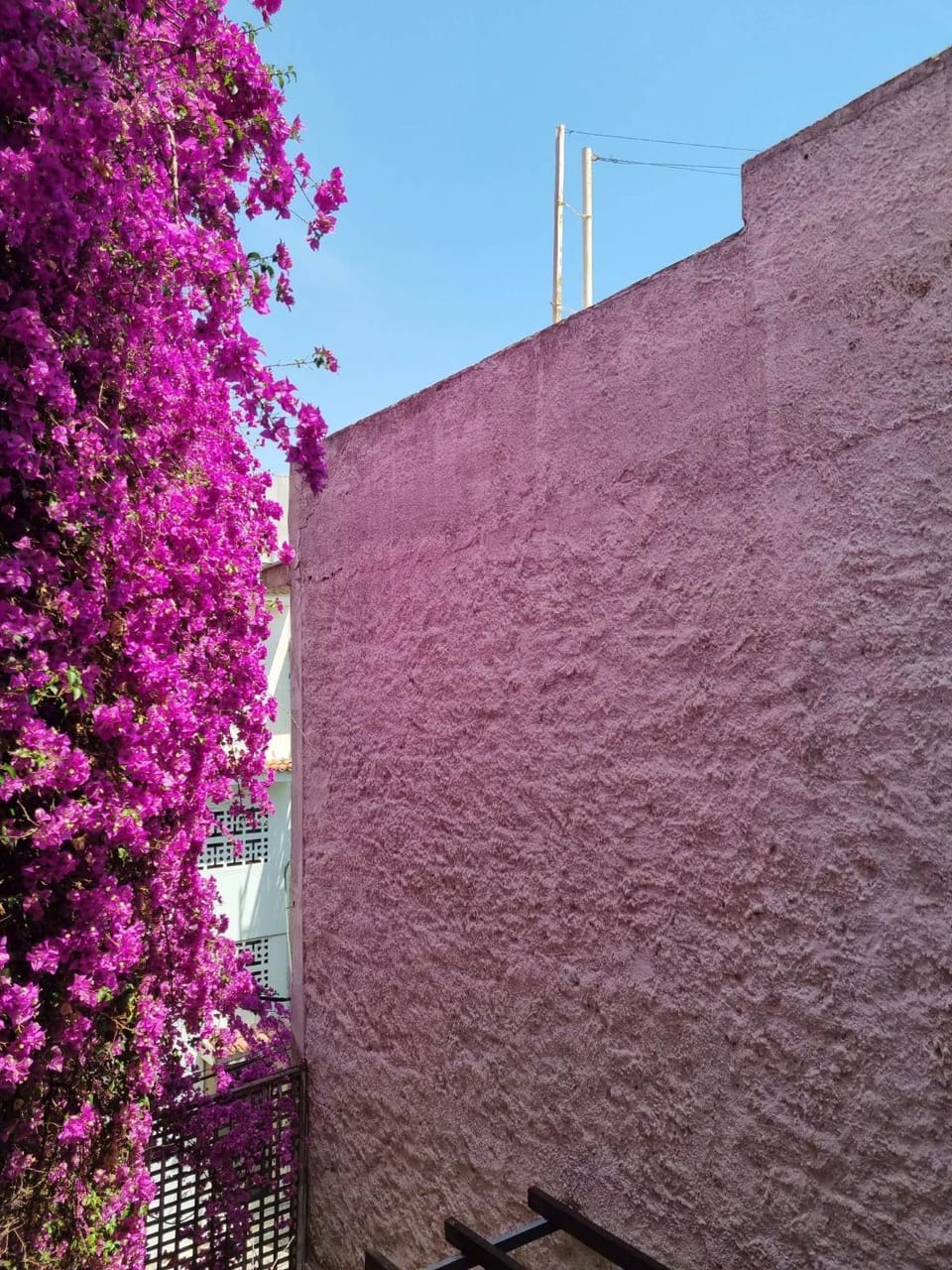 Spring, Garden, Garden view