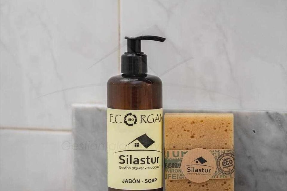 Casa Castro By Silastur Apartment in Gijón