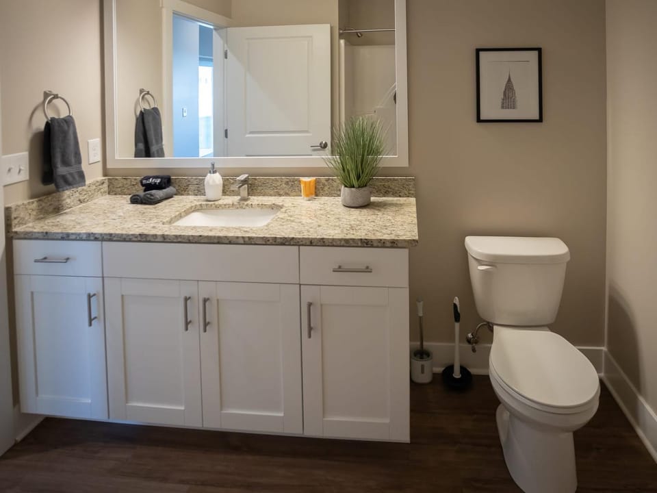 Toilet, Bathroom