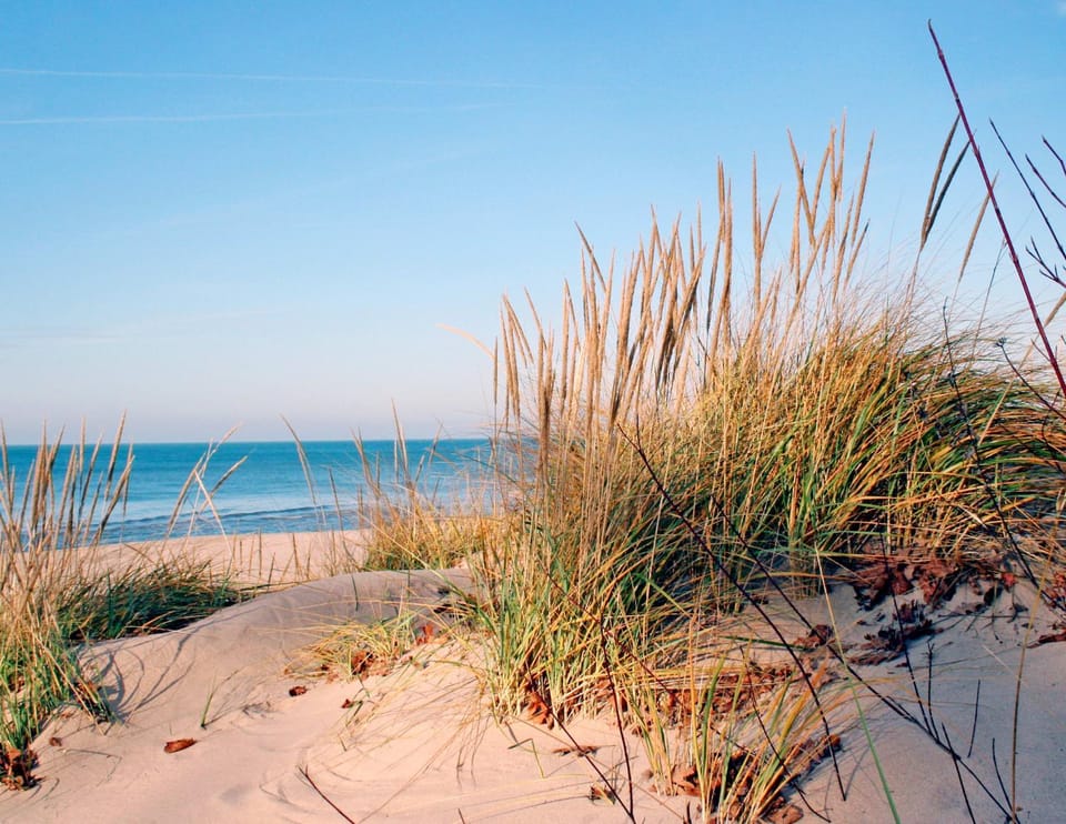 Nearby landmark, Day, Beach