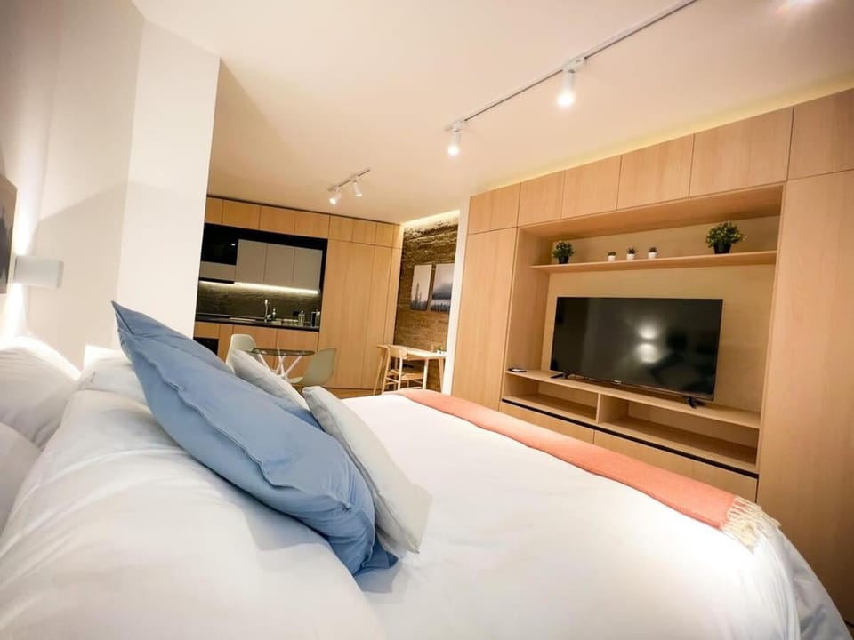 HOM I Wifi AirAcond Cultura Antiguedad Lastarria Apartment in Santiago