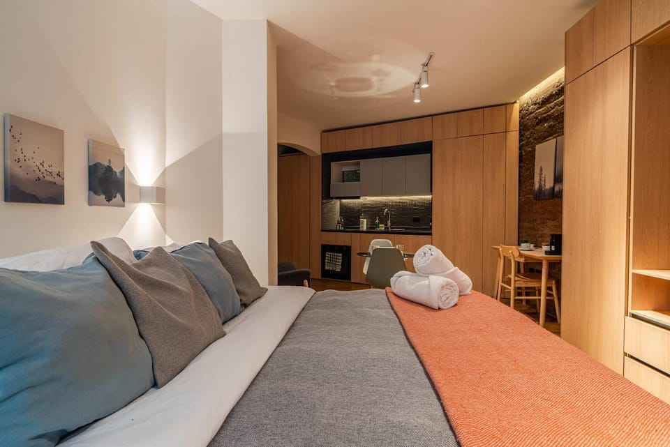 HOM I Wifi AirAcond Cultura Antiguedad Lastarria Apartment in Santiago