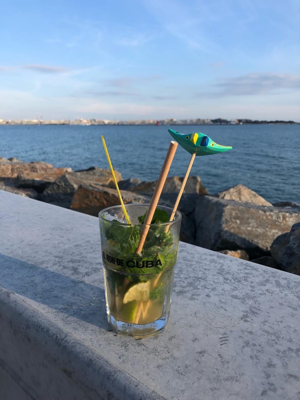 Les pois sont verts Apartment in La Rochelle