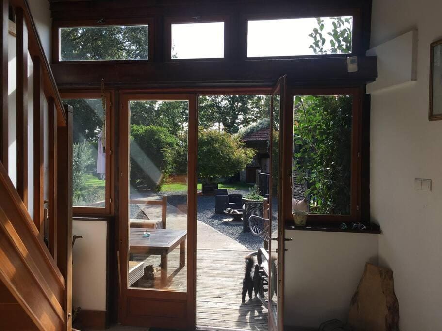 Patio, Garden view