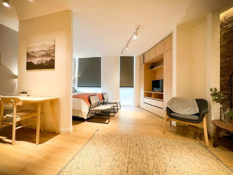HOM I Wifi AirAcond Gastronomia Cultura Lastarria Apartment in Santiago