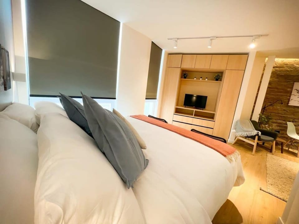 HOM I Wifi AirAcond Gastronomia Cultura Lastarria Apartment in Santiago