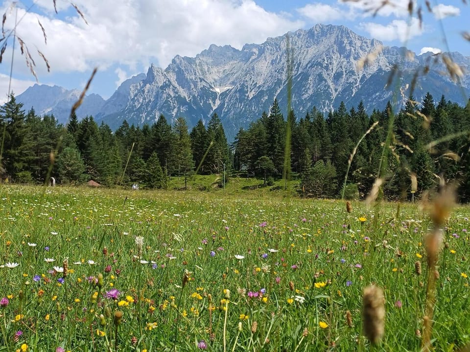Natural landscape
