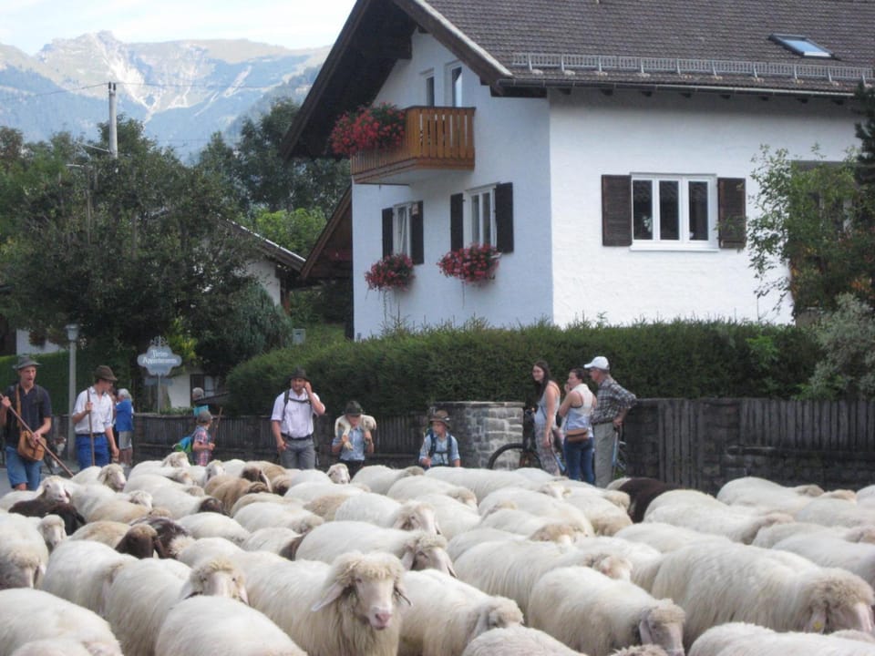 Property building, People, Animals