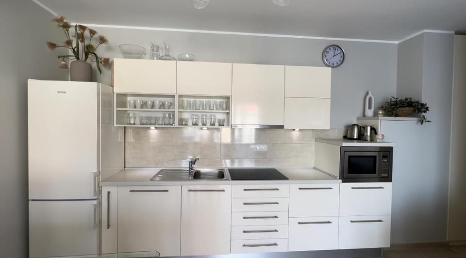 dishwasher, minibar, stove